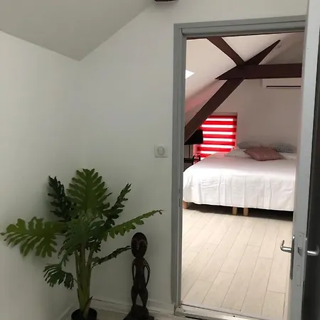 Alsacian - Old Town Cosy * Colmar