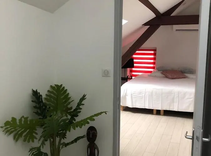 Alsacian - Old Town Cosy * 科尔马