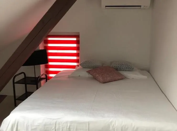 Alsacian - Old Town Cosy 科尔马