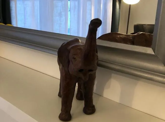 Alsacian - Old Town Cosy *