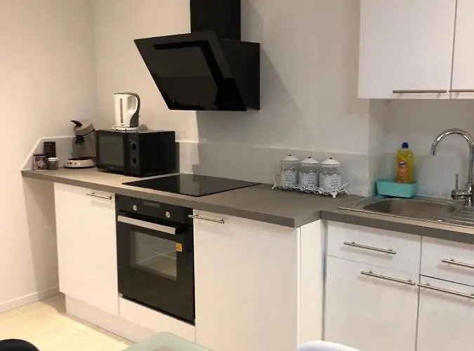 Alsacian - Old Town Cosy 公寓 科尔马