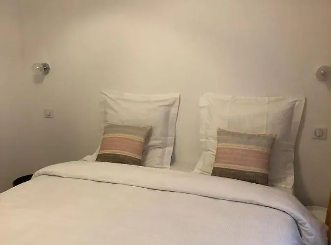 Alsacian - Old Town Cosy 公寓 科尔马